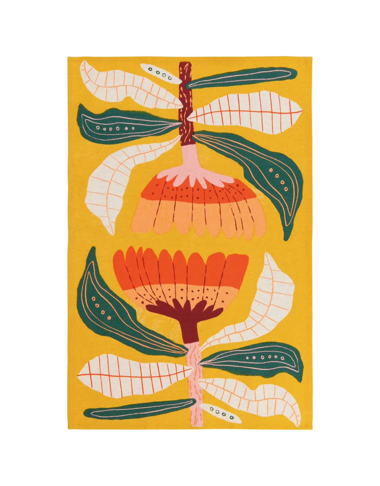 Venus Dishtowels - Set of 2