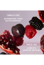 Boy Smells Rosy Cheeks Fine Fragrance