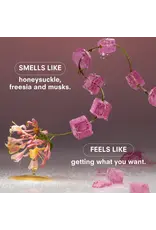 Boy Smells Sugar Baby 50ML Fine Fragrance