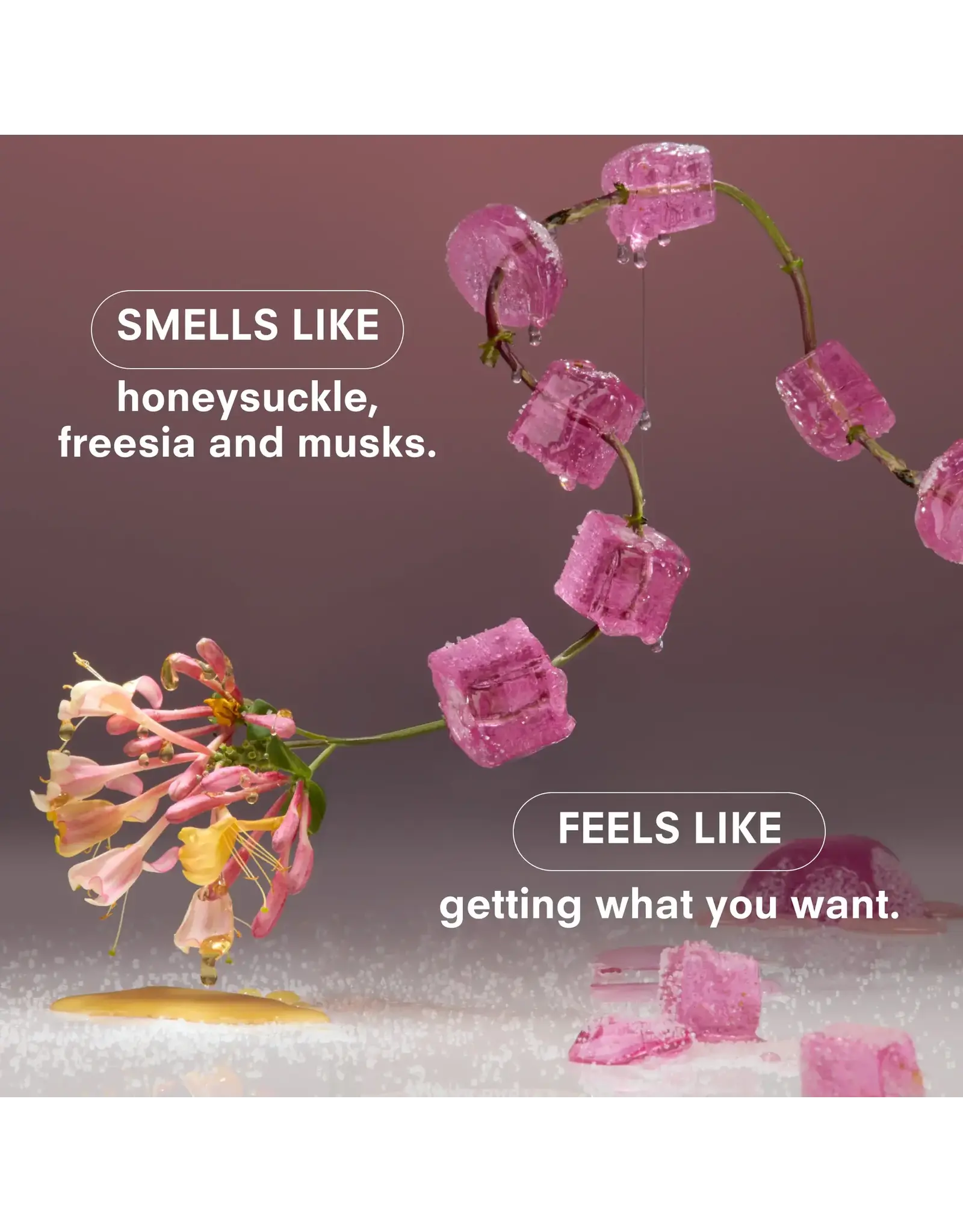 Boy Smells Sugar Baby Fine Fragrance