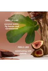 Boy Smells Woodphoria Travel Spray