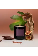 Boy Smells Woodphoria Standard Candle