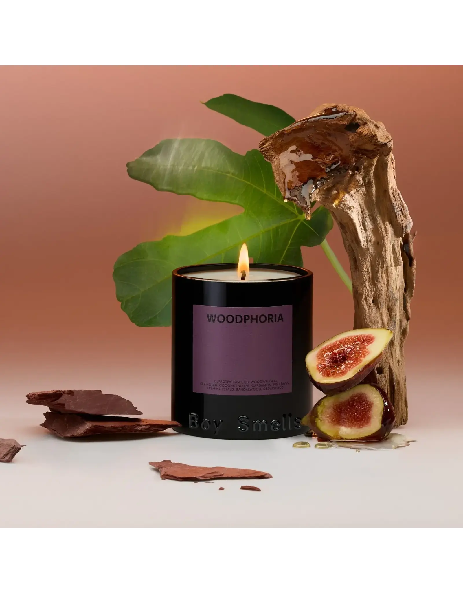 Boy Smells Woodphoria Standard Candle