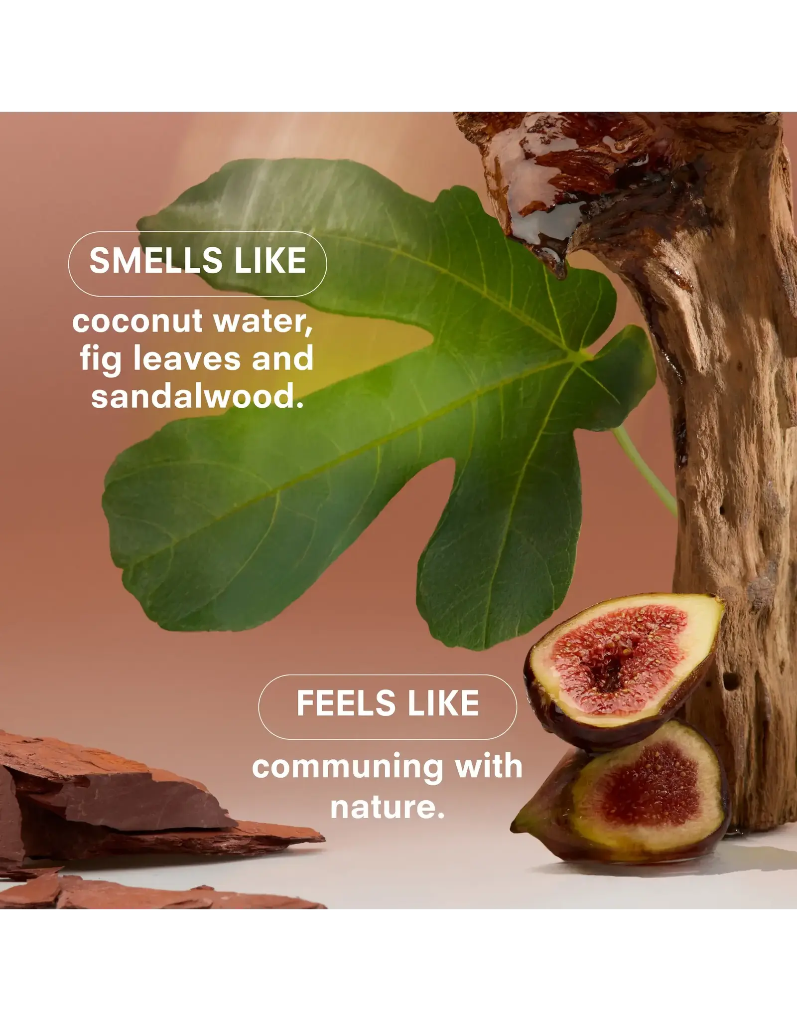 Boy Smells Woodphoria Standard Candle