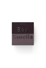 Boy Smells Woodphoria Standard Candle