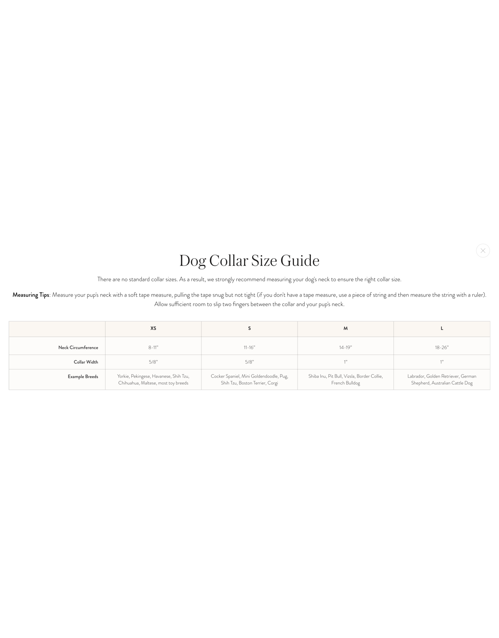 Tulip Garden Dog Collar