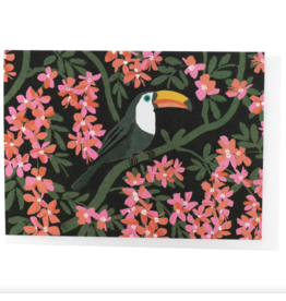 Toucan & Bougainvillea Card