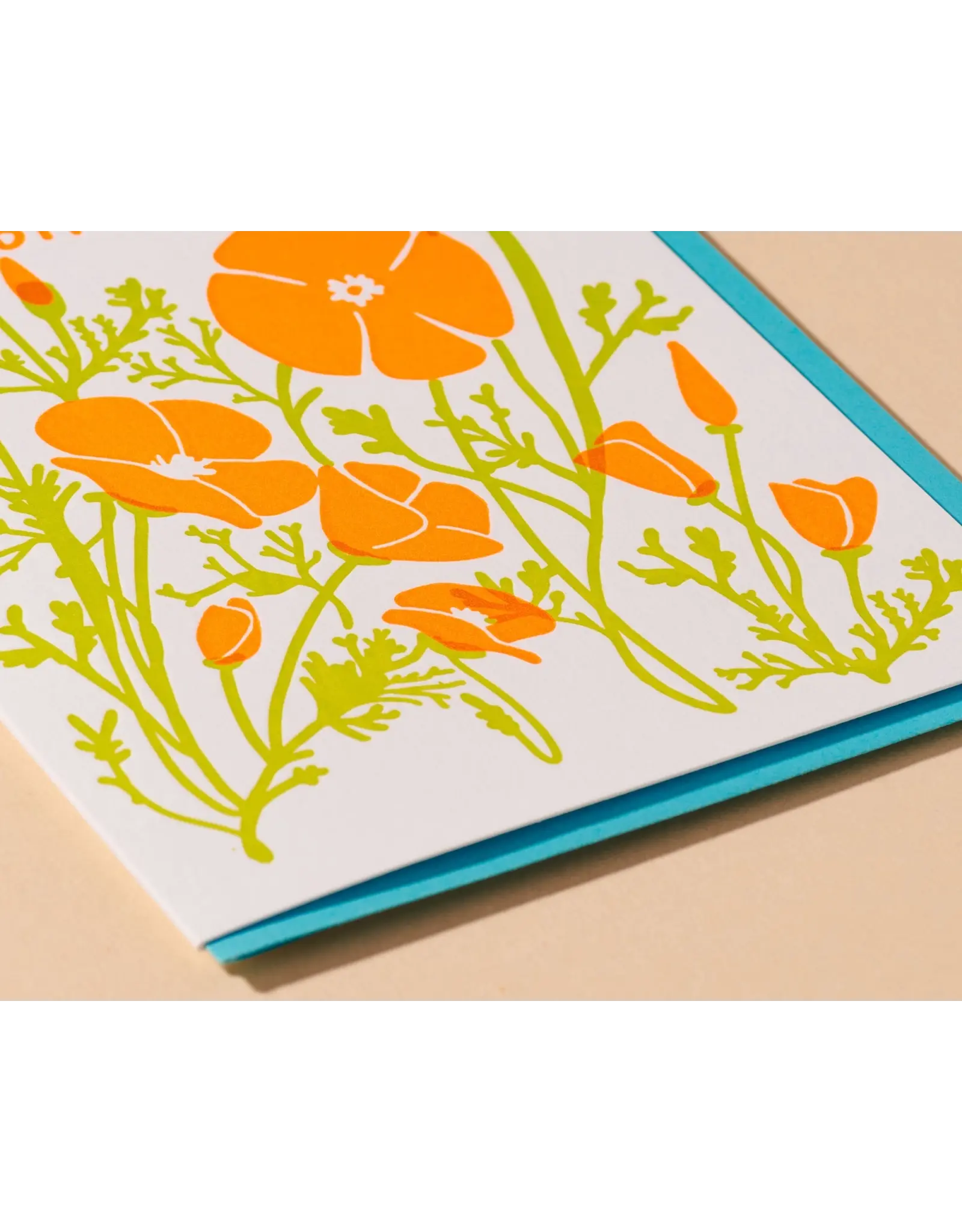 And Here We Are Poppy Birthday Card