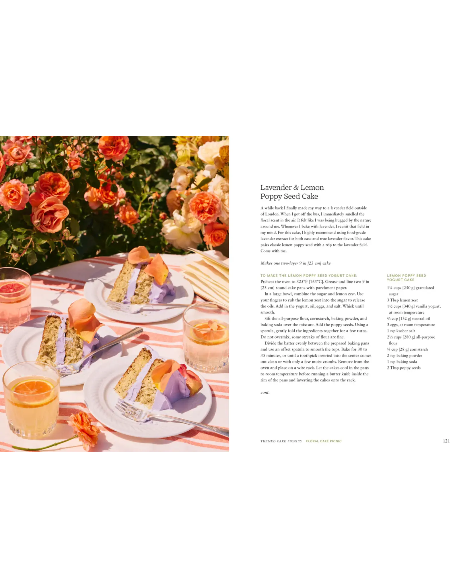 Chronicle Books Cake Picnic