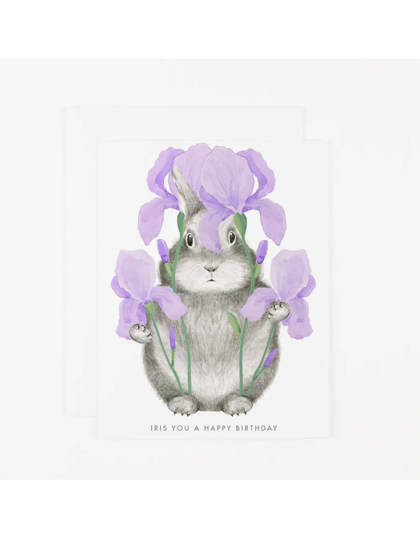 Dear Hancock Iris You A Happy Birthday Card