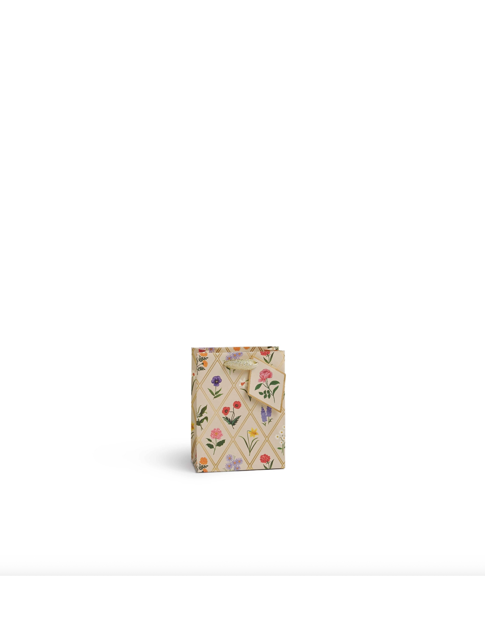 Rifle Paper Garden Study Small Gift Bag