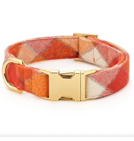 Pumpkin Spice Dog Collar
