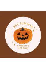 Sunshine Studios Pumpkin Mini Hair Clip