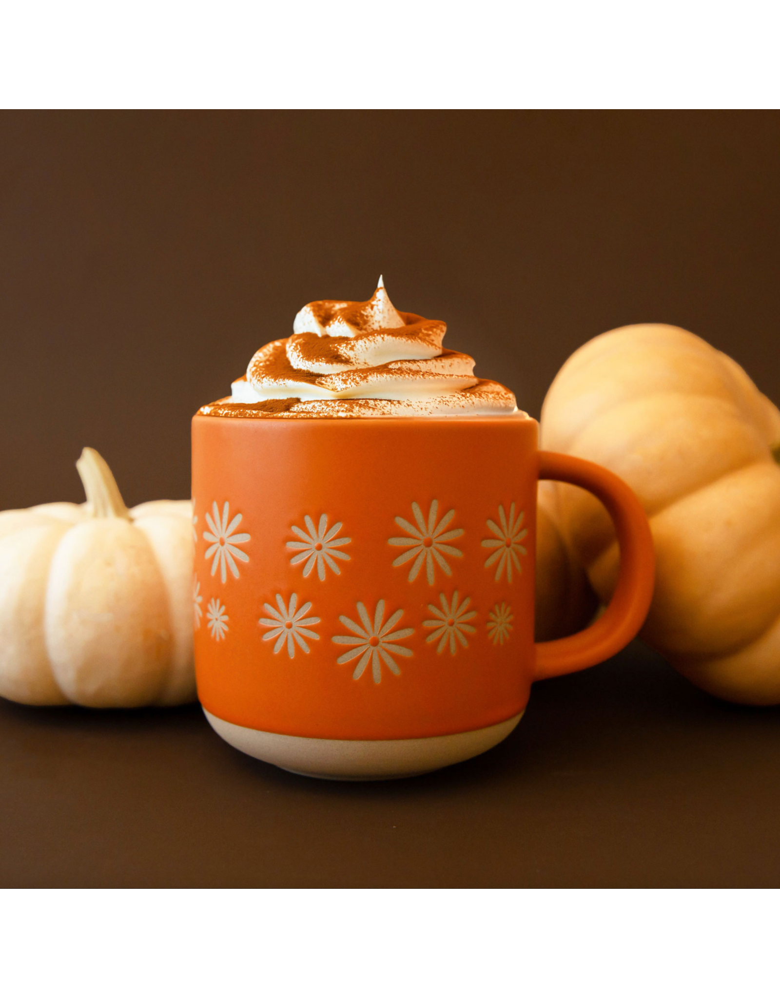 Sunshine Studios Retro Pinwheel Flowers Ceramic Mug