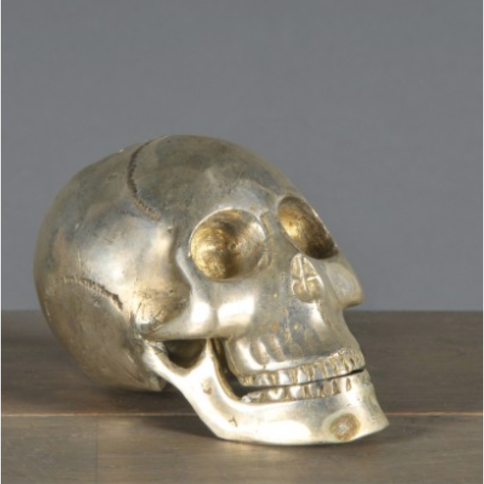 ATELIERS & CSD SILVERY SKULL