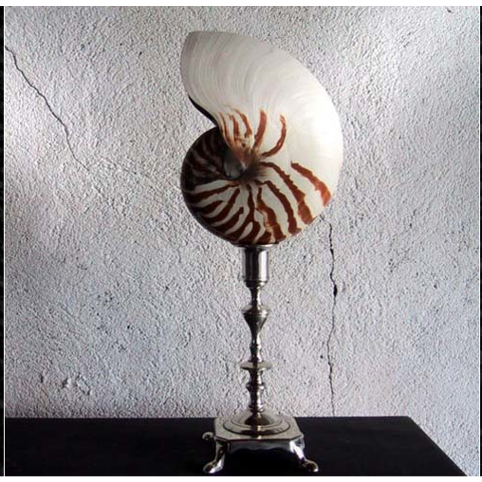 OBJET DE CURIOSITE NAUTILUS SHEL ON LUIS XV SILVER PLATED