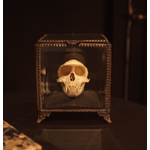 OBJET DE CURIOSITE MONKEY SKULL