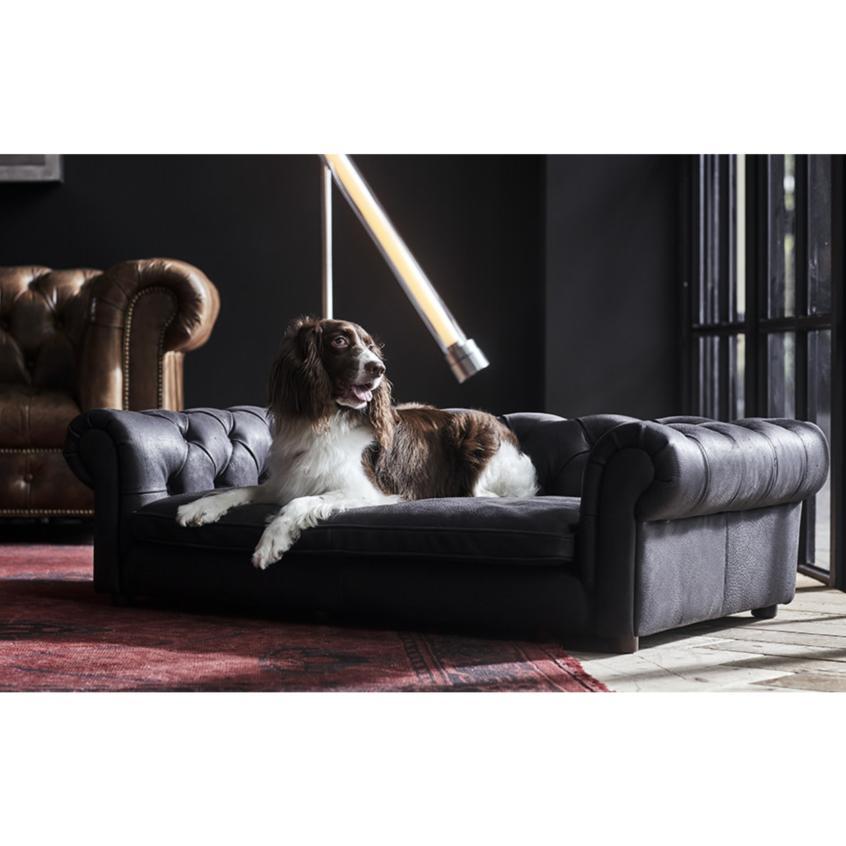 TIMOTHY OULTON TO WESTMINSTER DOG BED SAFARI BLACK