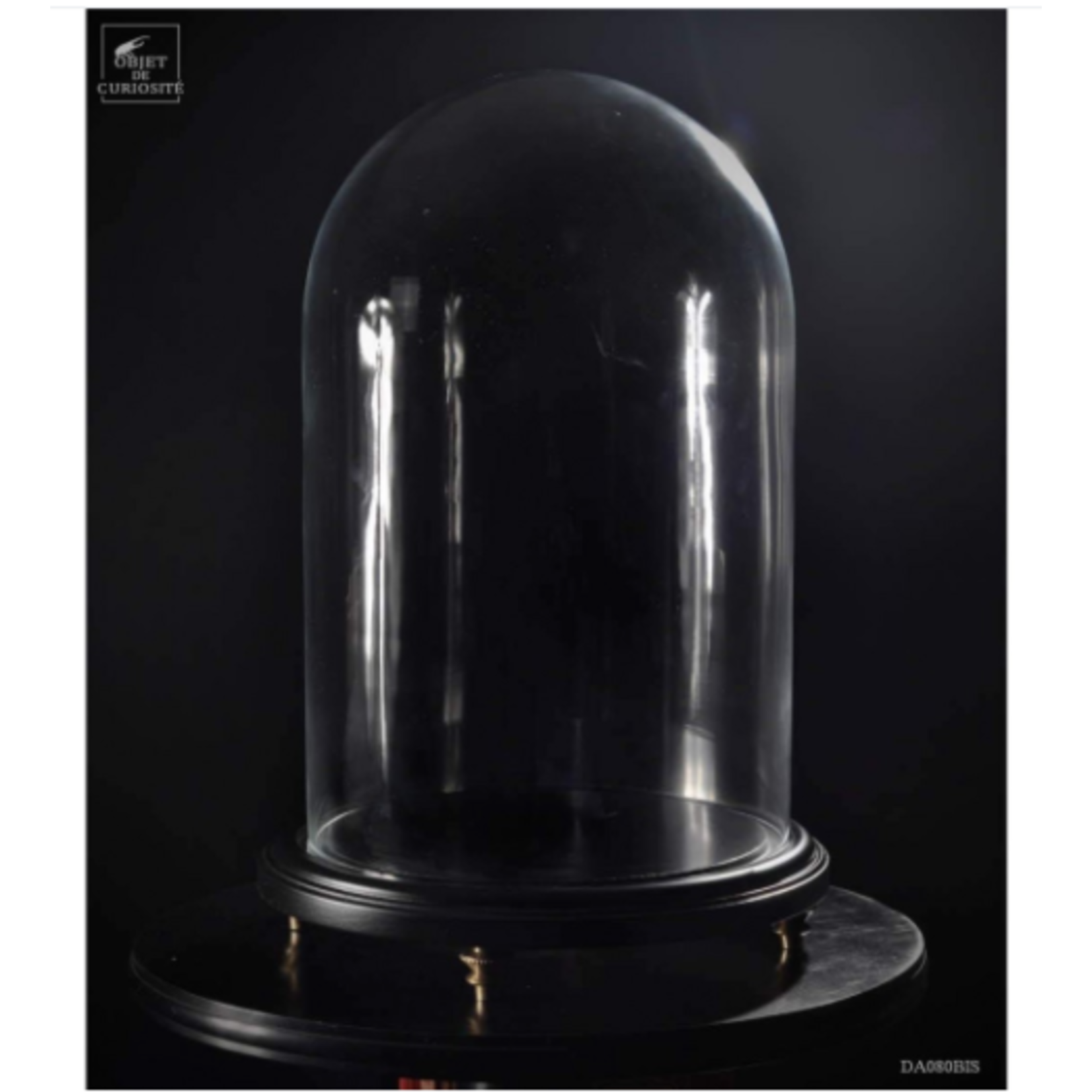 OBJET DE CURIOSITE GLASS GLOBE  BLACK WOOD  BOIS