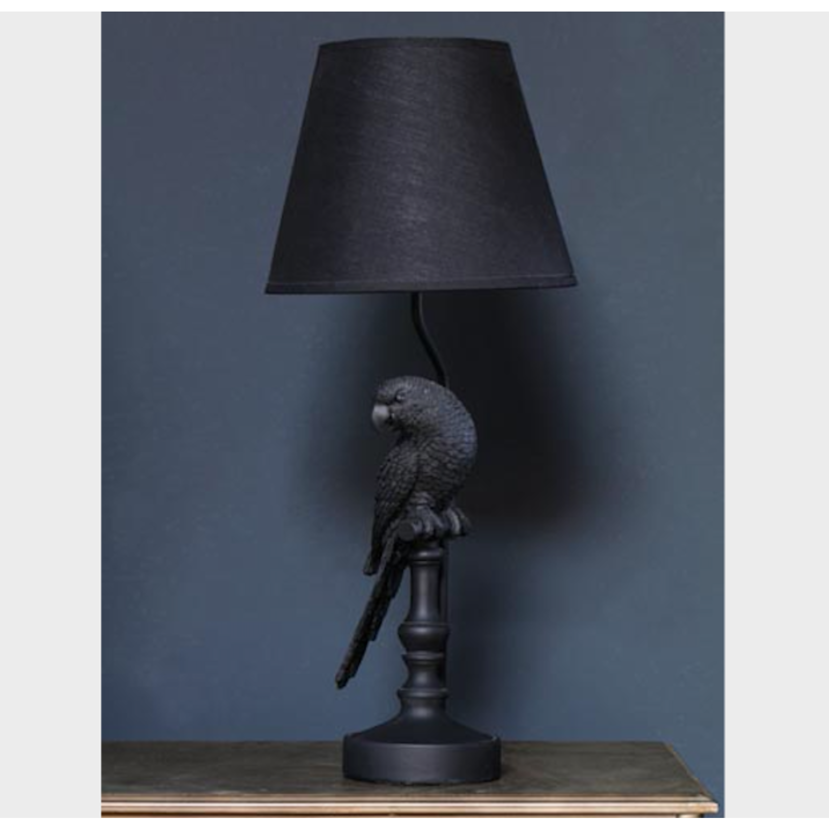 parrot lamp next