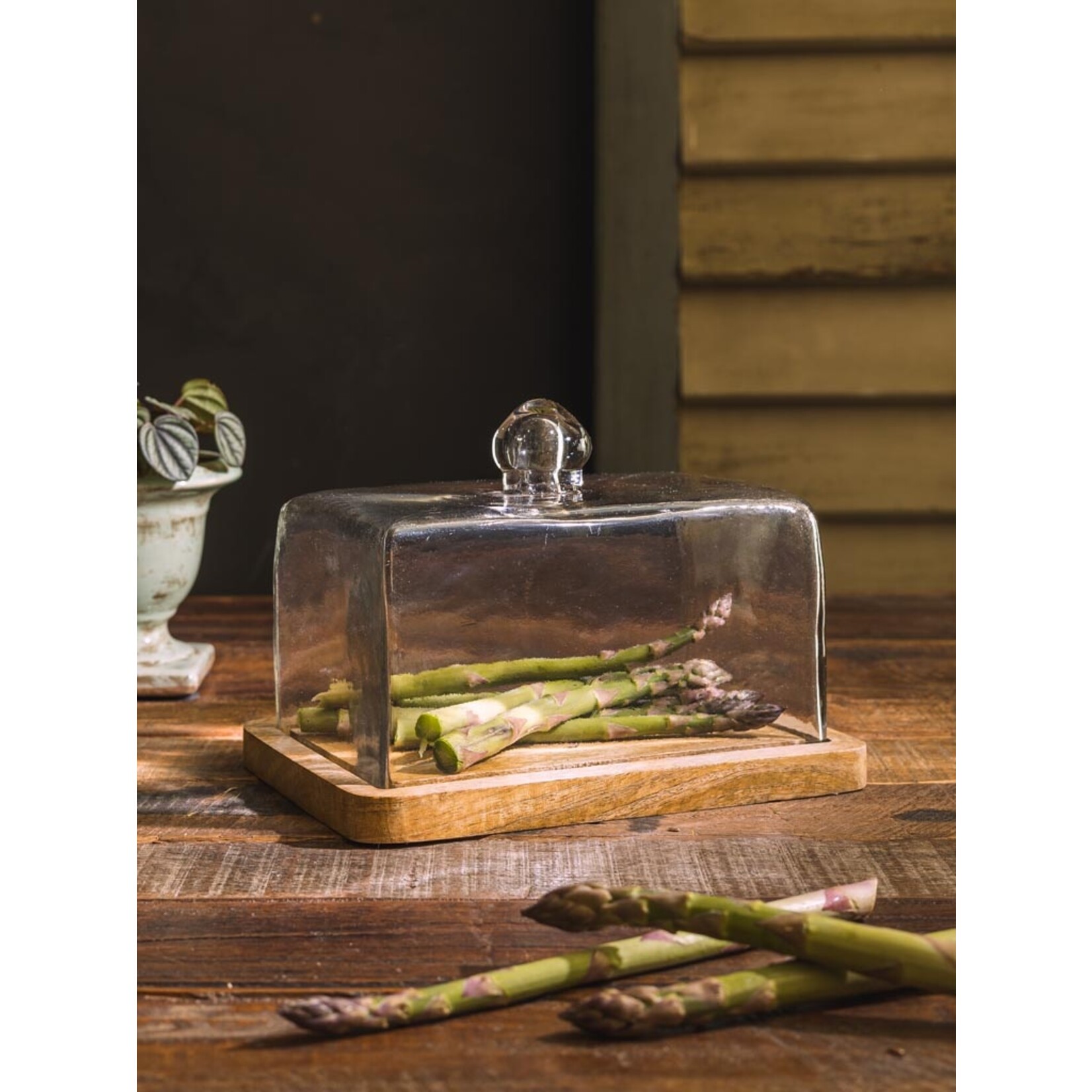 CHEHOMA SQUARE PLATE WITH GLASS COVER
