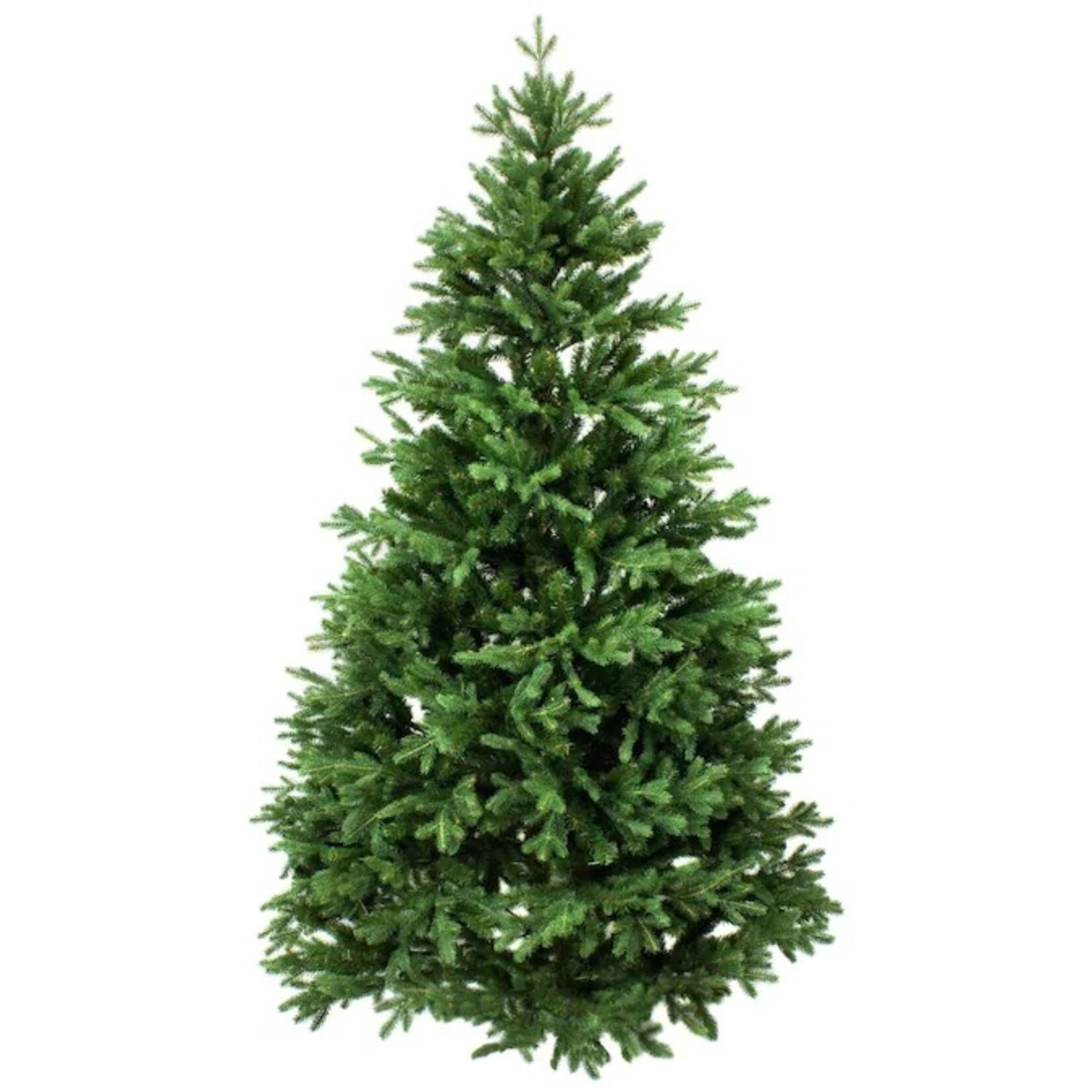 Noble Fir