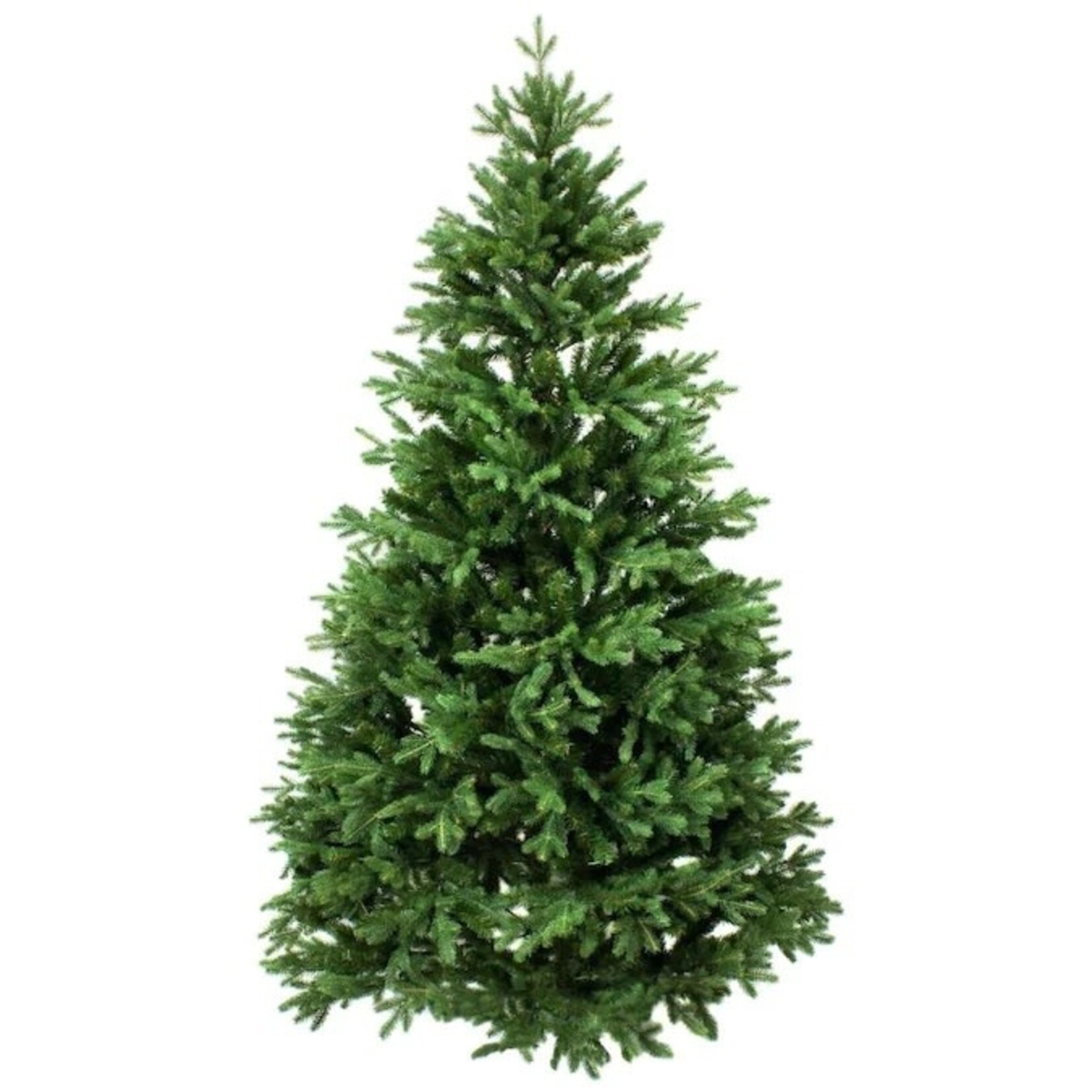 Noble Fir