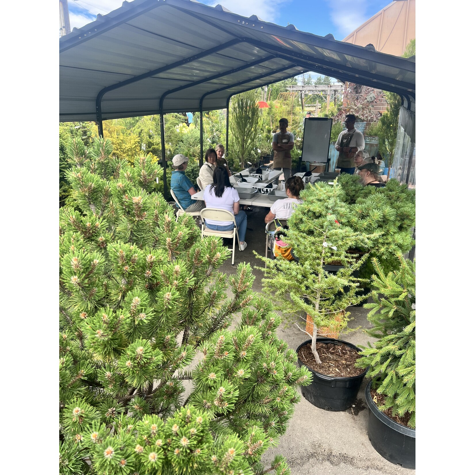 The Bonsai Xperience Bonsai Class (10/25 @ 1-3PM)