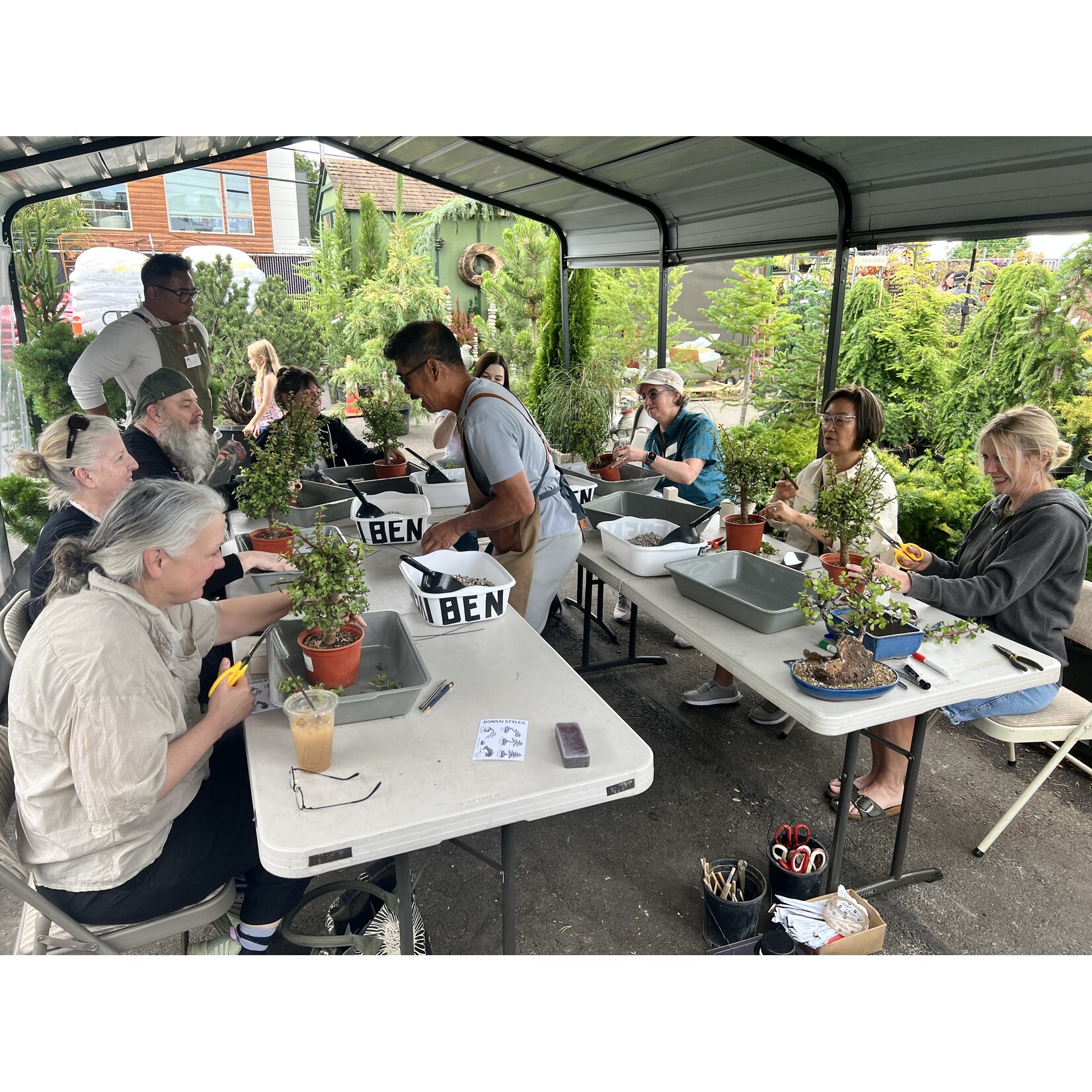 The Bonsai Xperience Bonsai Class (10/25 @ 1-3PM)