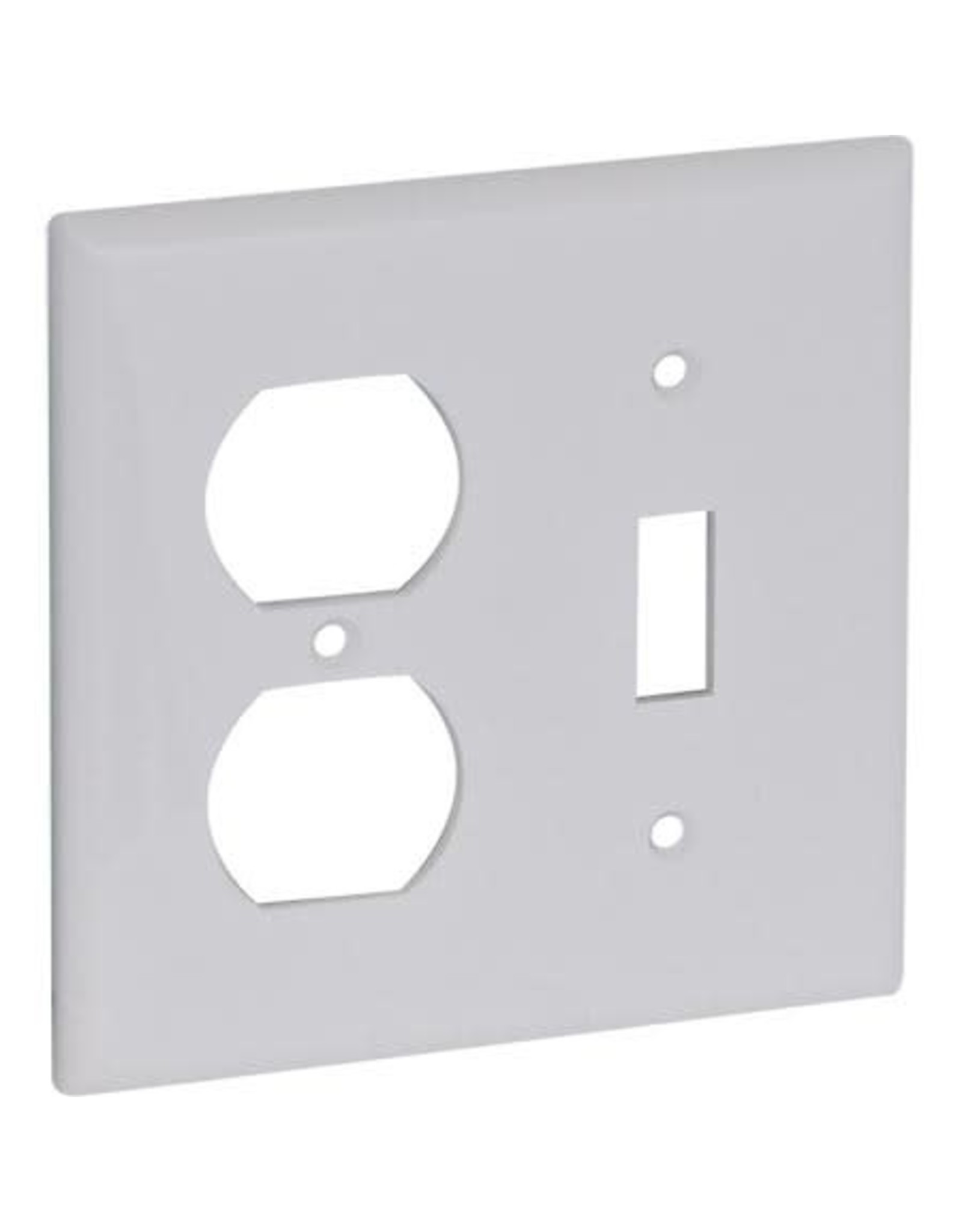 COMBINATION SWITCH AND DUPLEX WALL PLATE