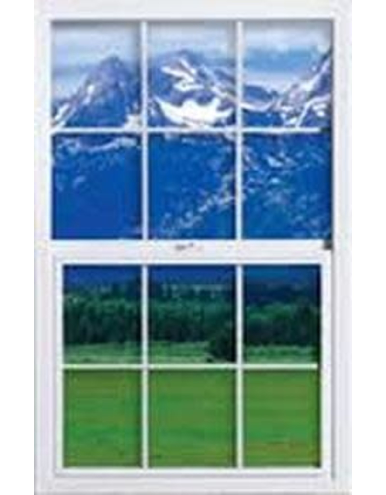 14" X 40" DOUBLE PANE GRID WINDOW