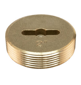 2" BRASS CLEAN-OUT PLUG