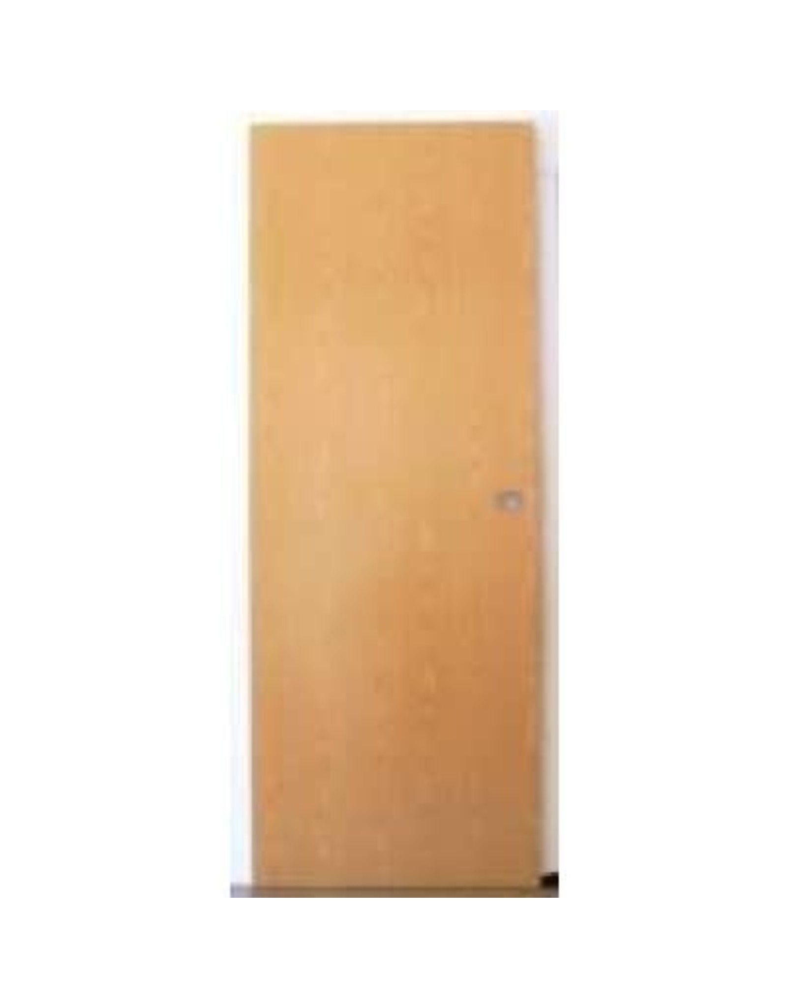 24x80 OAK MH DOOR