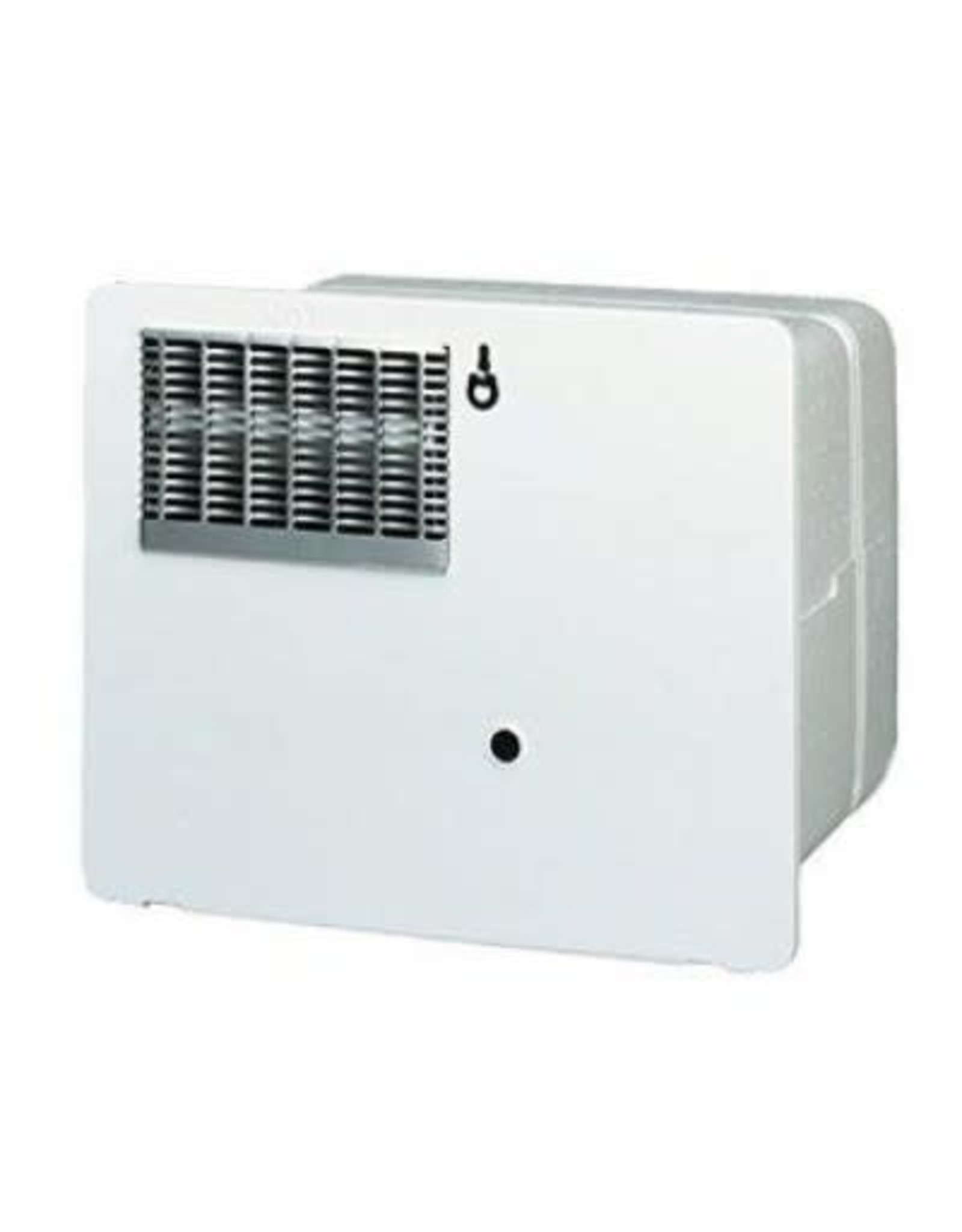 6 GAL DSI/Electric W/H