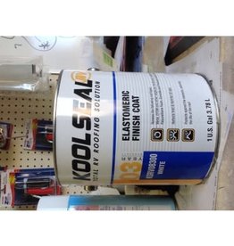 Elastomeric Finish Coat 1 gallon