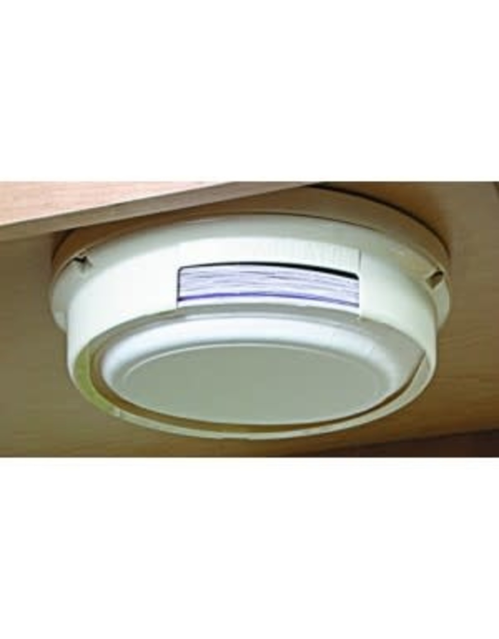 Pop-A-Plate - White 57001