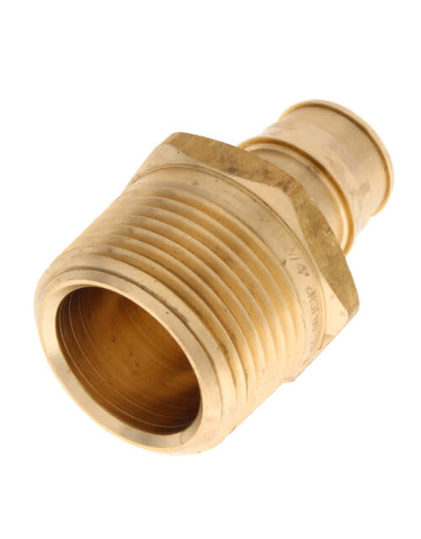 PRO PEX BRASS 3/4" x 1" MIP Adapter