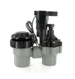 Rain Bird Anti-Siphon Valve with Flow Control 1" FPT