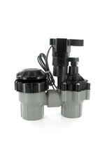 Rain Bird Anti-Siphon Valve with Flow Control 3/4" FPT