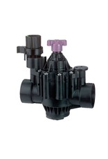 Rain Bird Valve with Flow Control 1-1/2" FPT