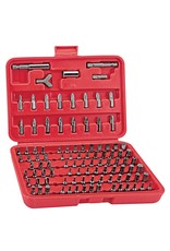 Security Bit Set With Case, 100 Pc.