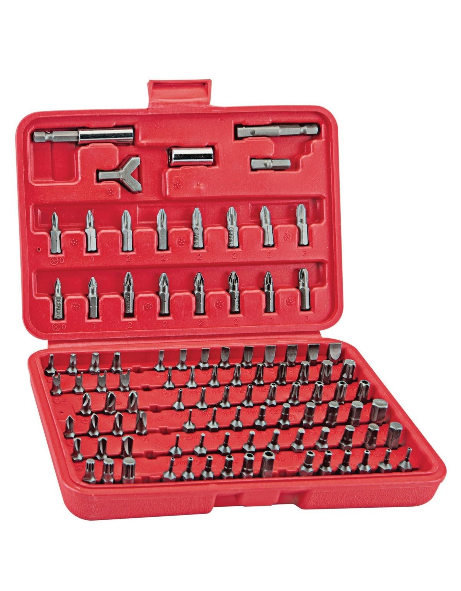 Security Bit Set With Case, 100 Pc.