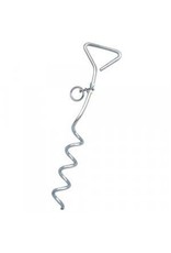 SPIRAL ANCHOR W/RING 42572