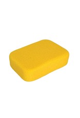 Sponge