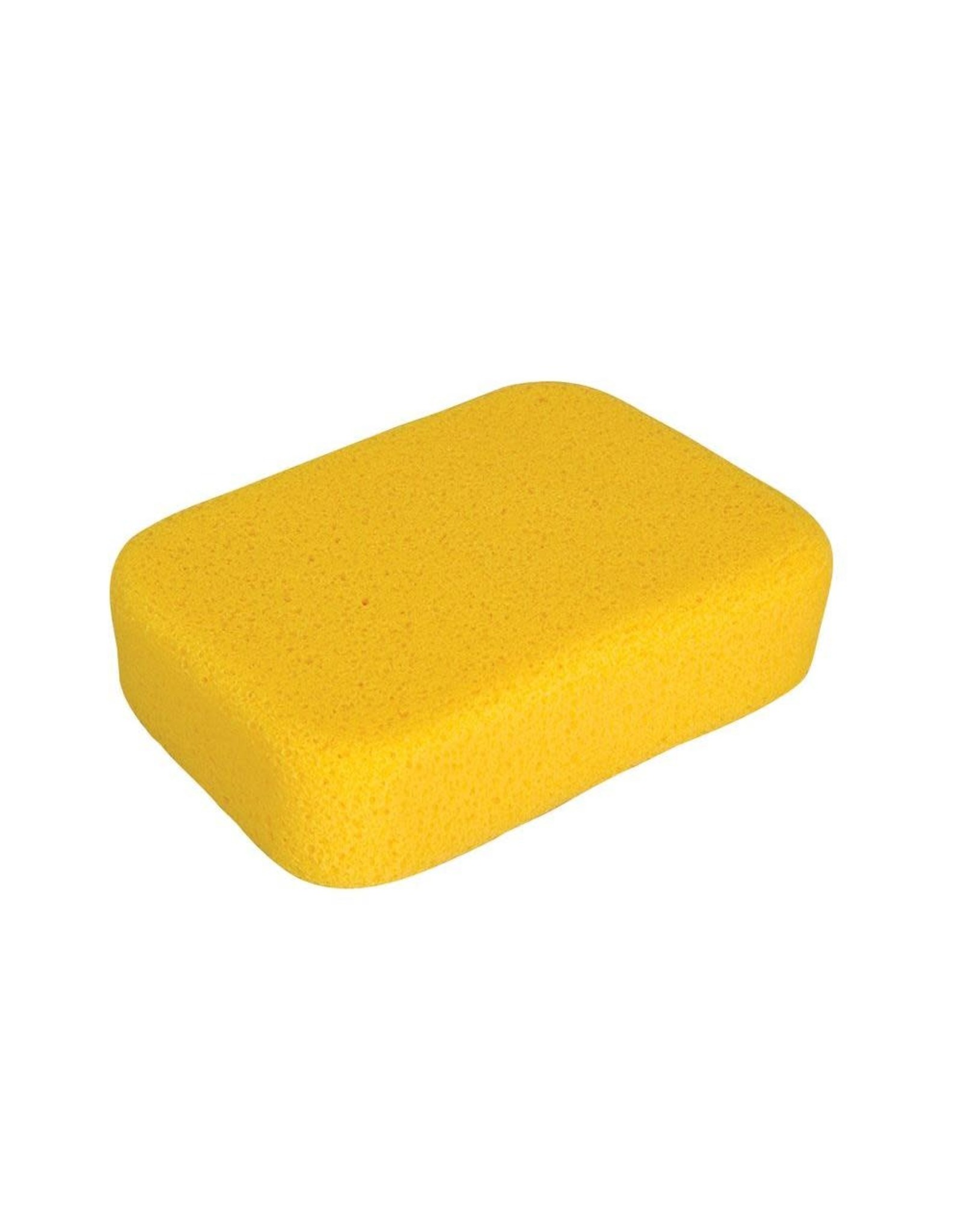 Sponge