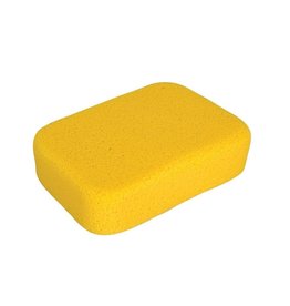 Sponge