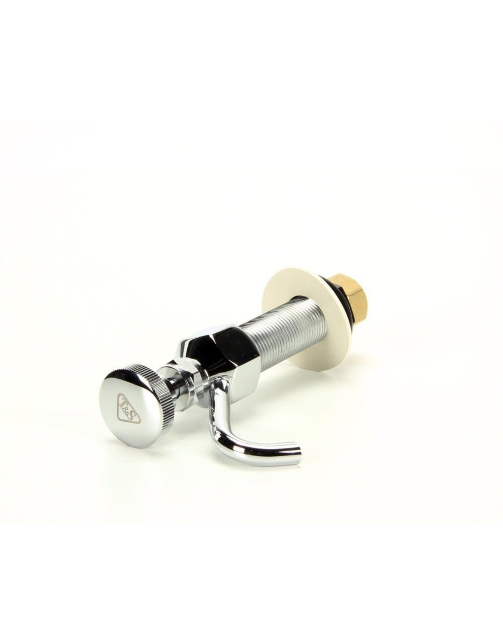 T&S Brass Dipperwell Faucet