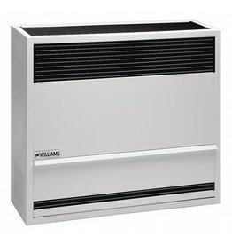 WILLIAMS DIRECT VENT FURNACE 22,000 BTU N/G