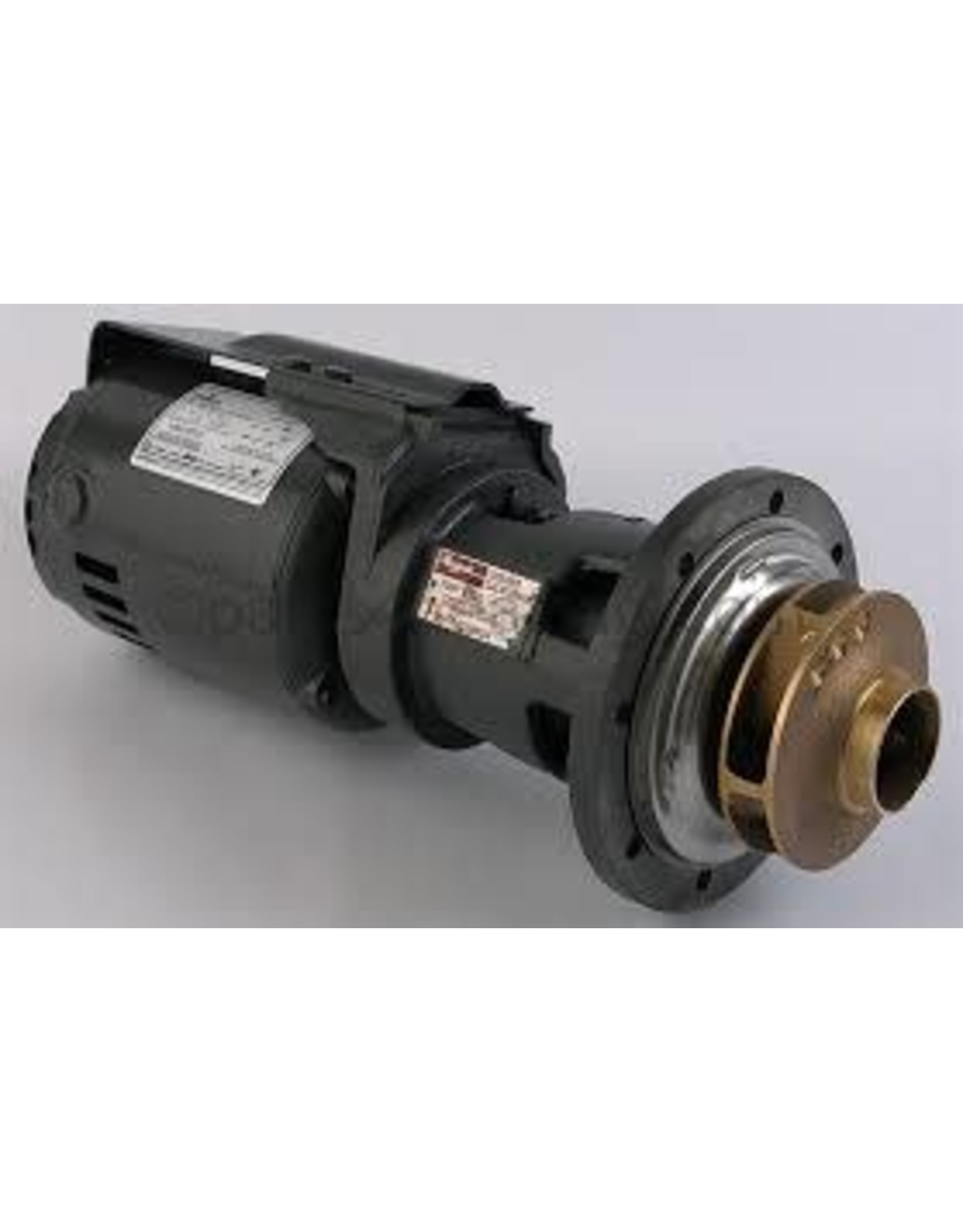 RAYPAK PUMP 115V 4.25 TACO KIT PUMP