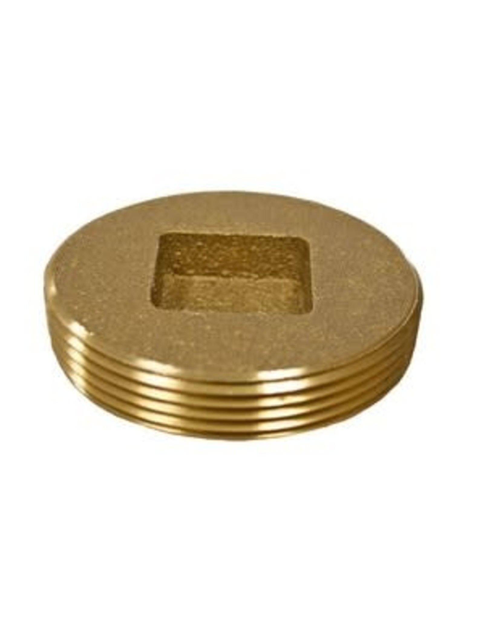 2 1/2" Brass Cleanout Plug
